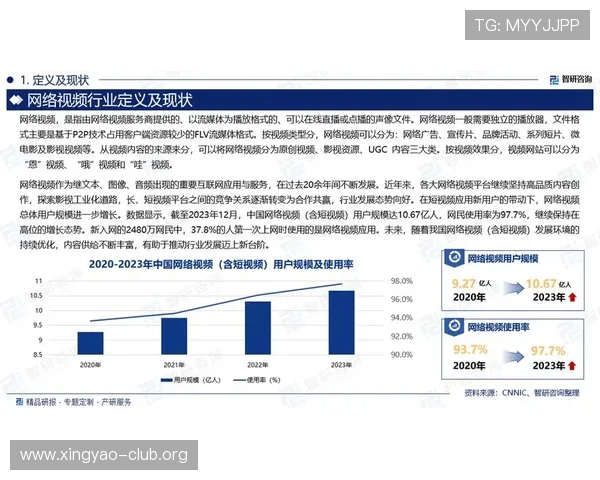 乐天娱乐集团在网络游戏行业中的市场份额与竞争优势分析
